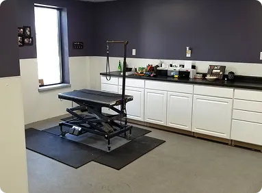 Spacious indoor dog daycare play area