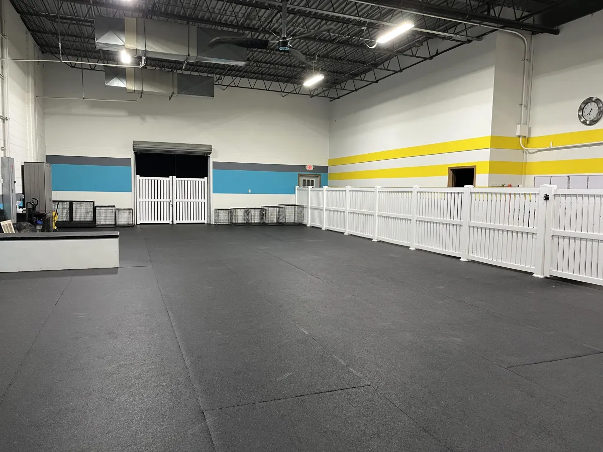 dog grooming area