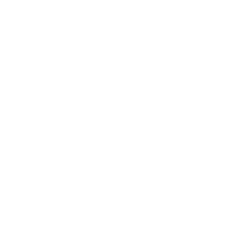 ALMINEJ CRM