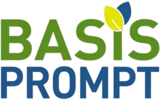 Basis Prompt