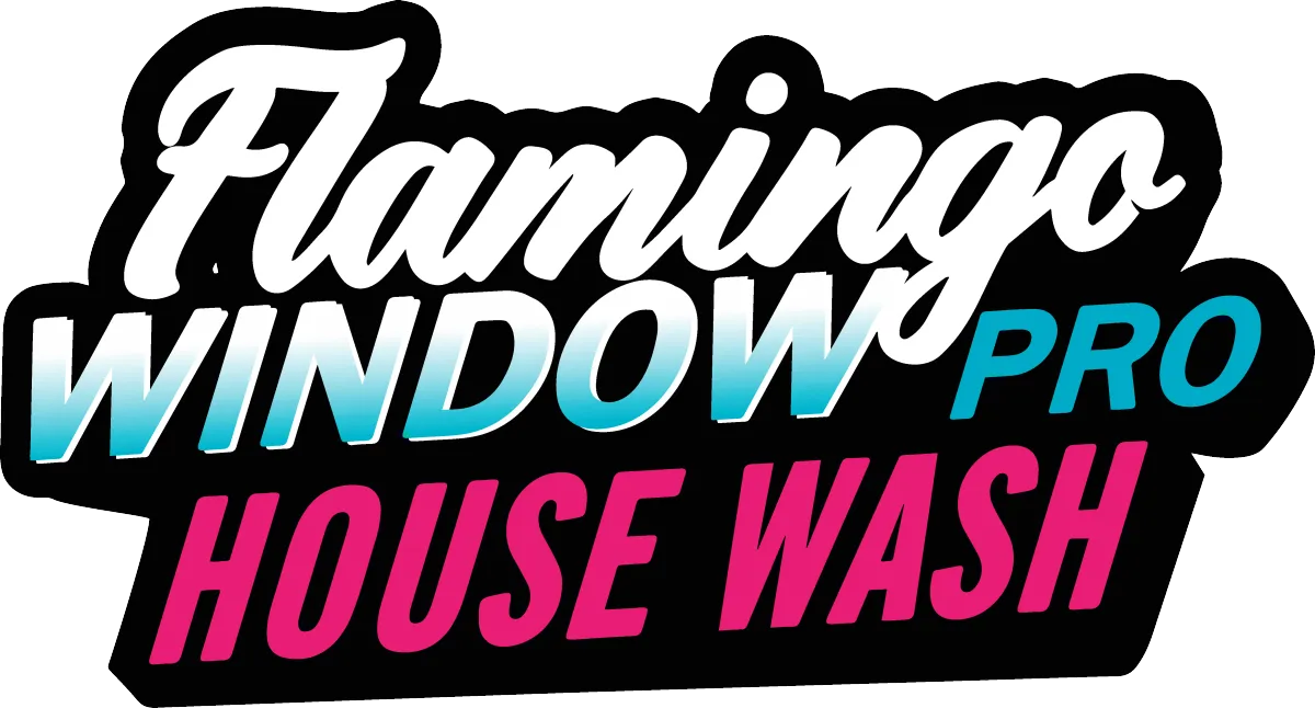 window cleaning Flamingo Window Pro