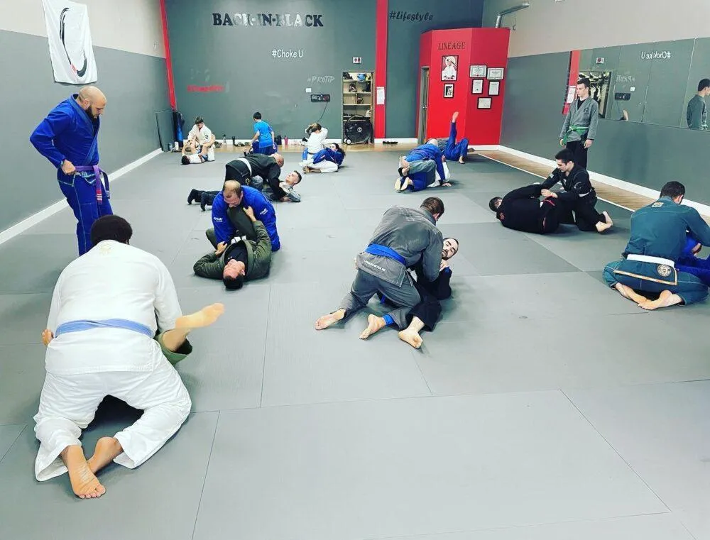 jiujitsu live healthier