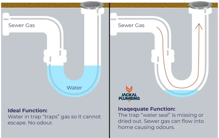 Drain a bit smelly?