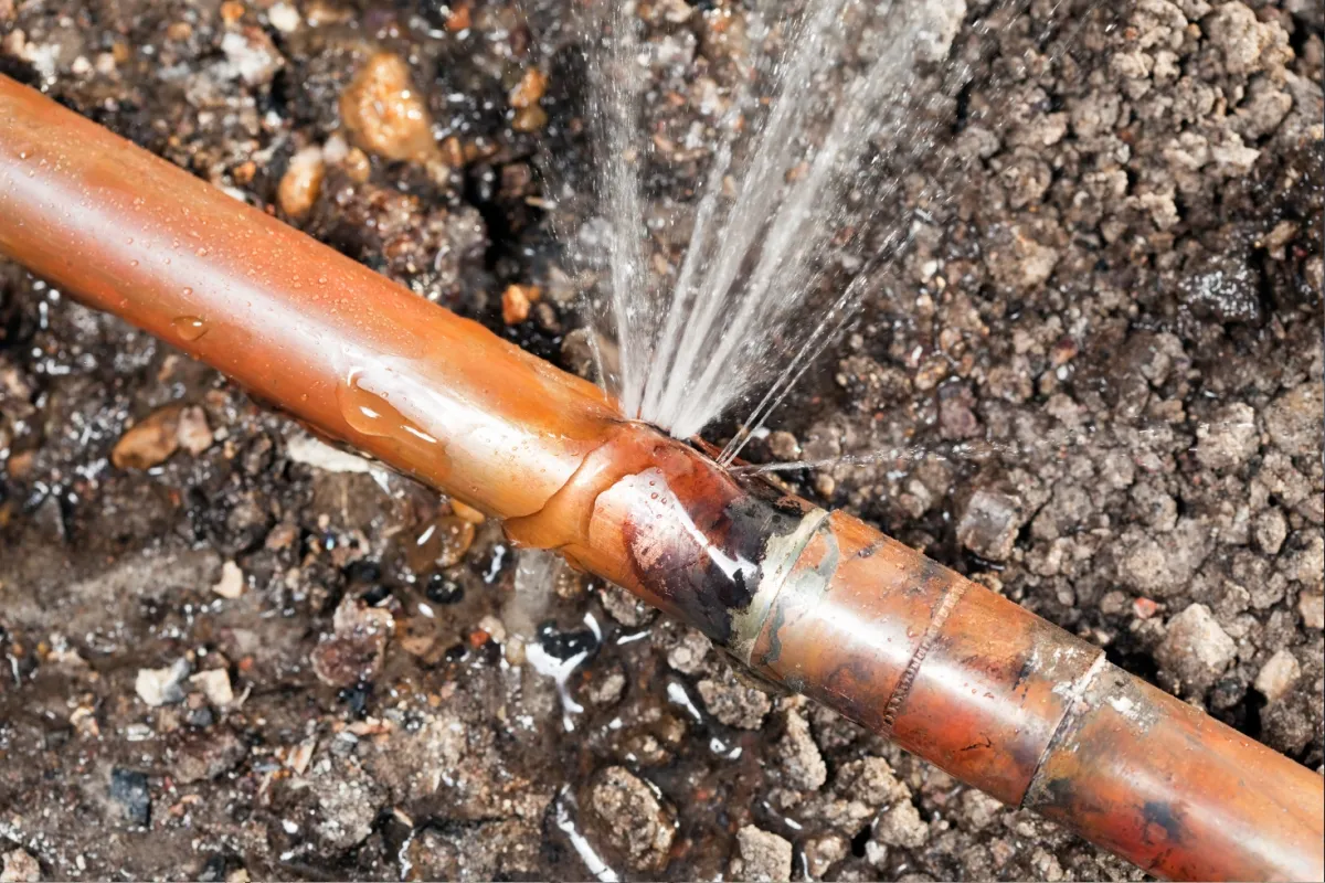 What to do if you discover a Leak