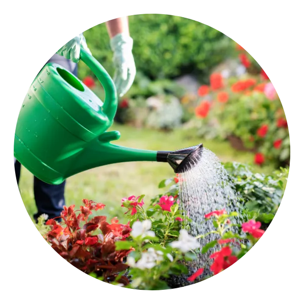 Good for your Garden