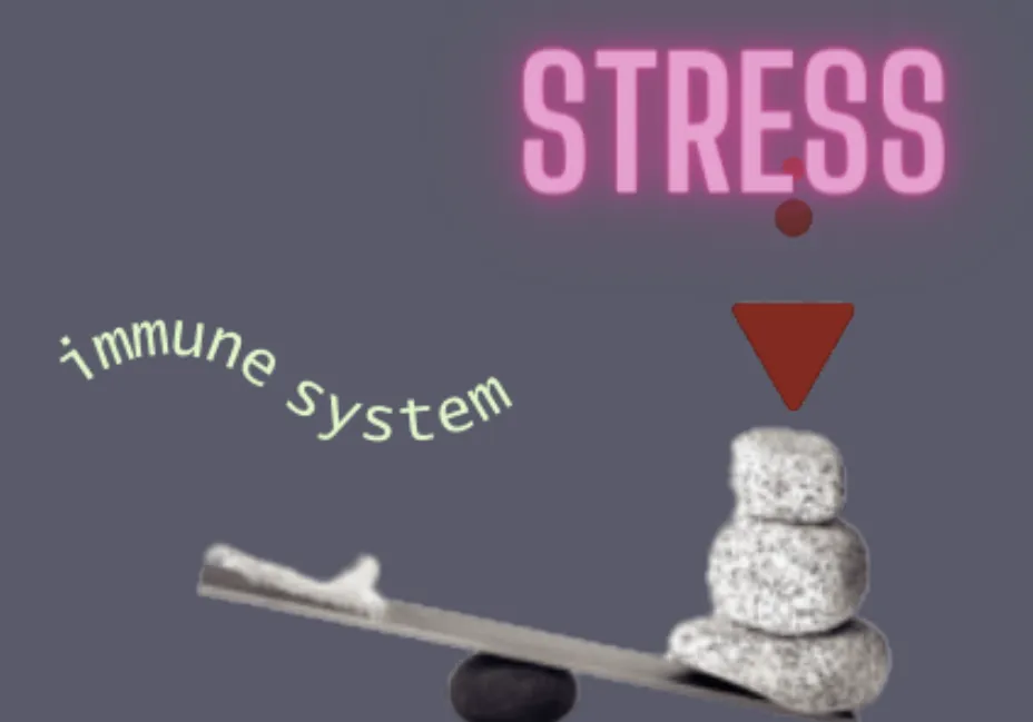 The Stress- Immune System Seesaw: A Personal Experience