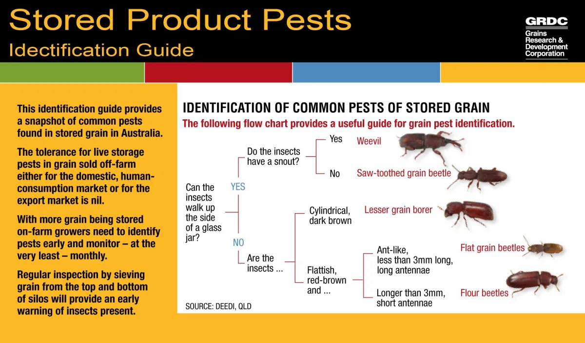 commercial pest control