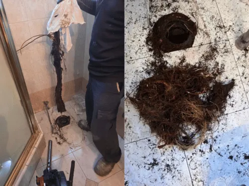 Main Sewer Line Cleanout Glendora, CA