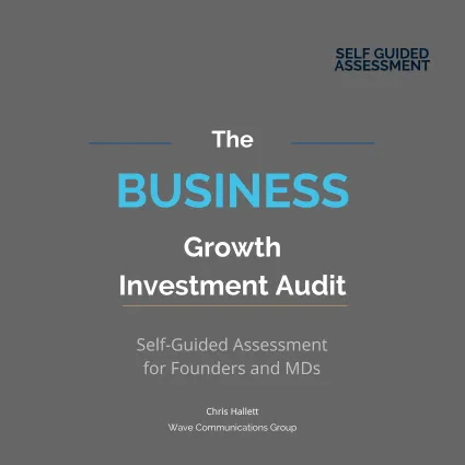Business Growth Investment Audit