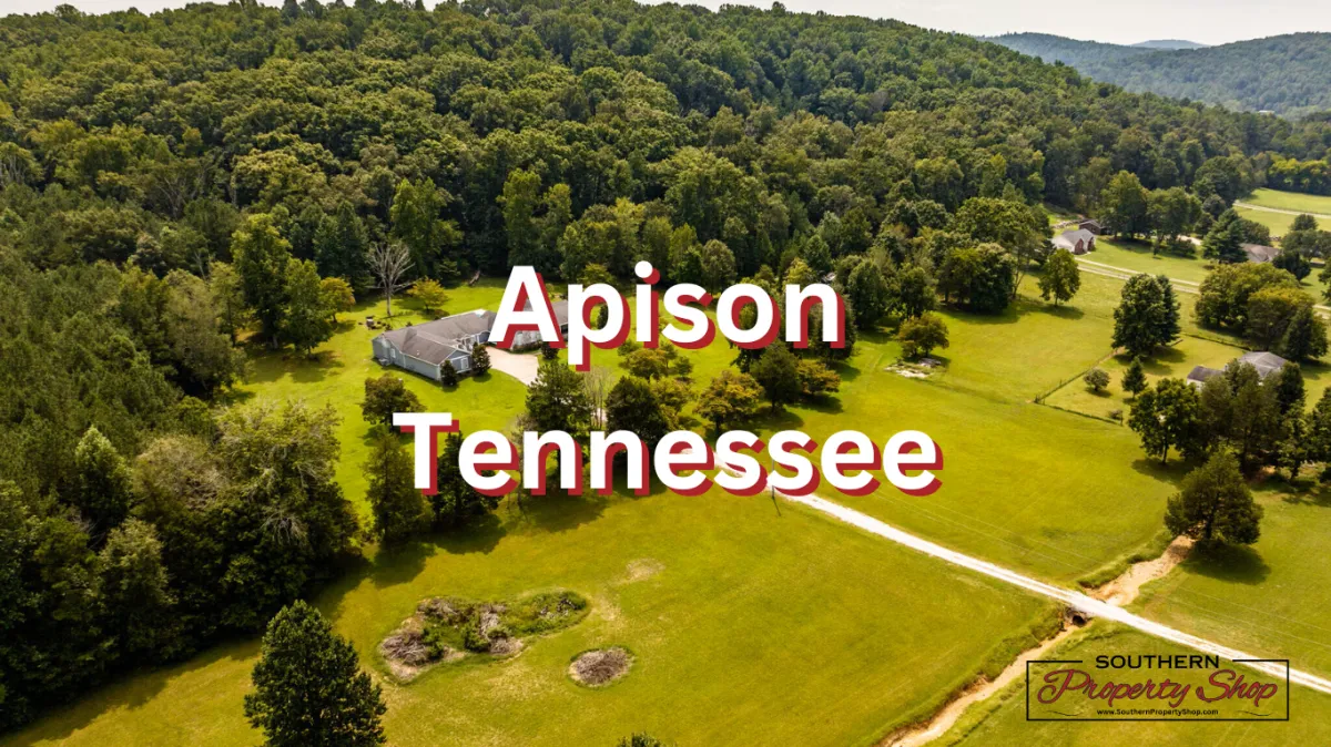 Homes for Sale in Apison TN
