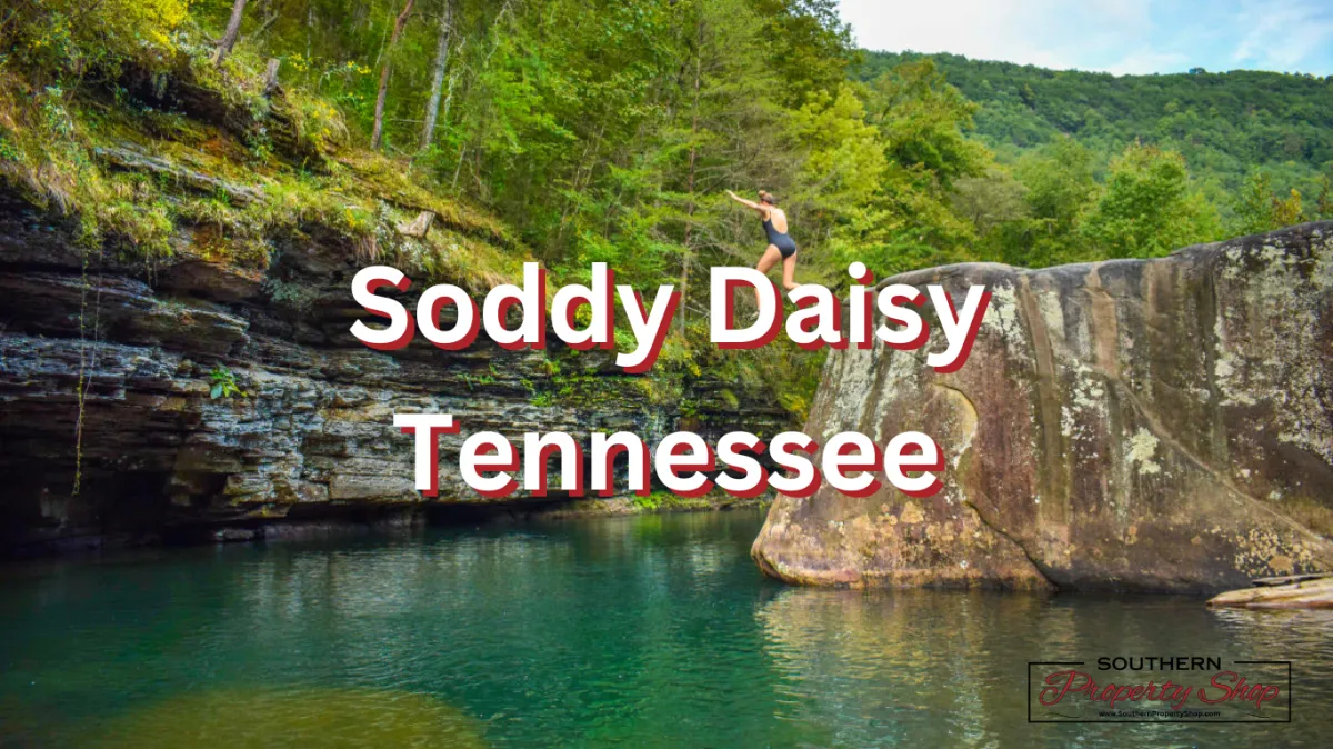 Homes for Sale in Soddy Daisy TN