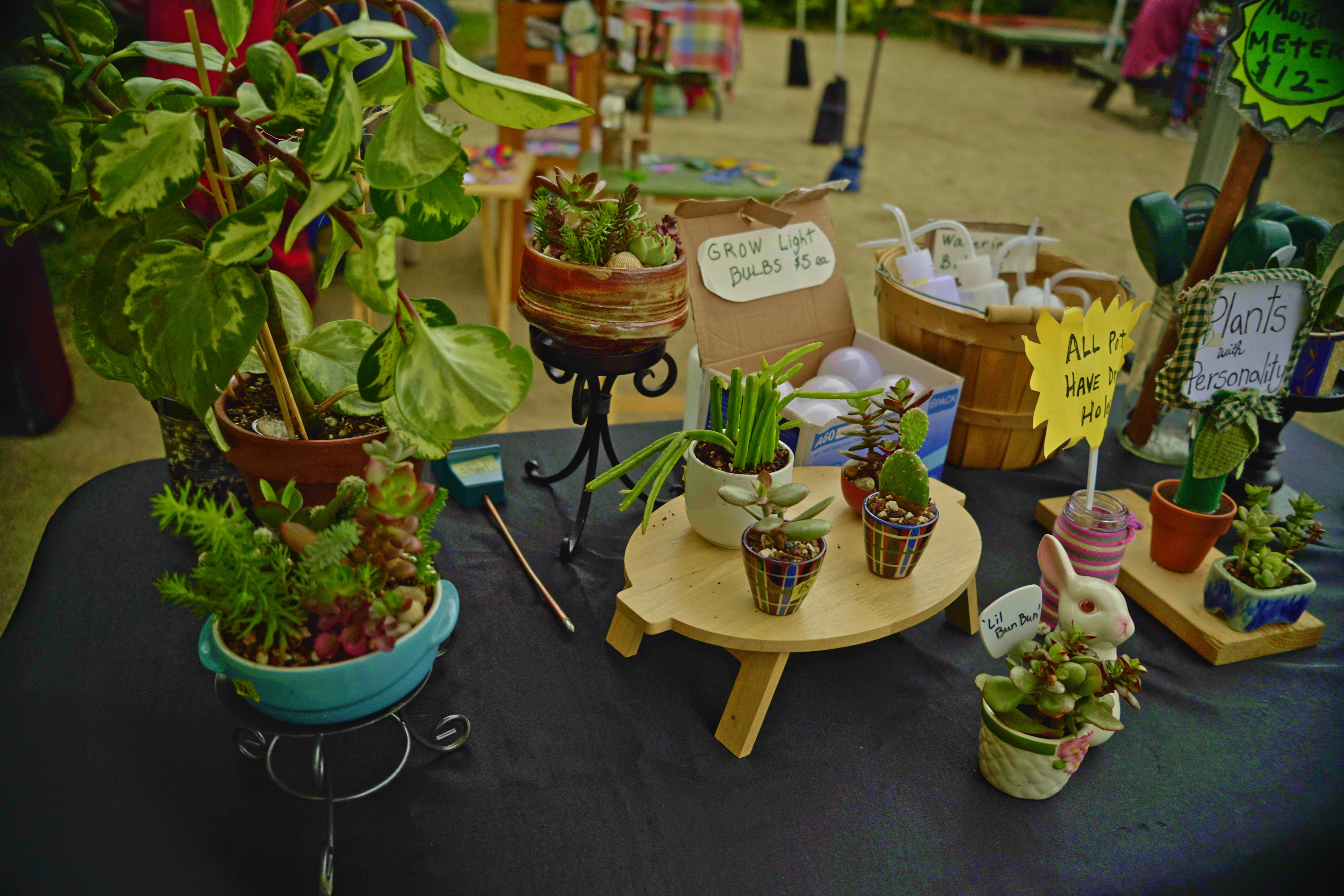 V1-0025_Saturday Market00000000