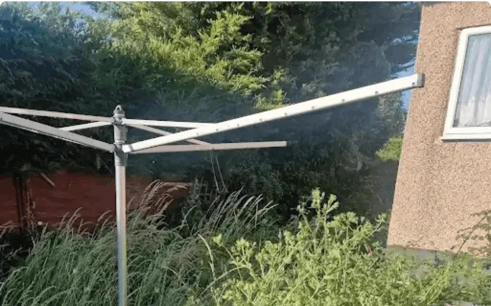overgrown garden clearance