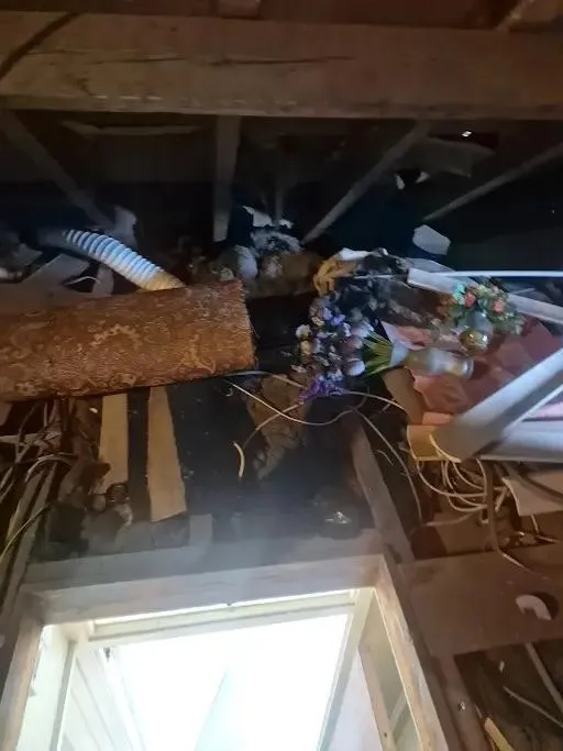 disposal of accumulated clutter