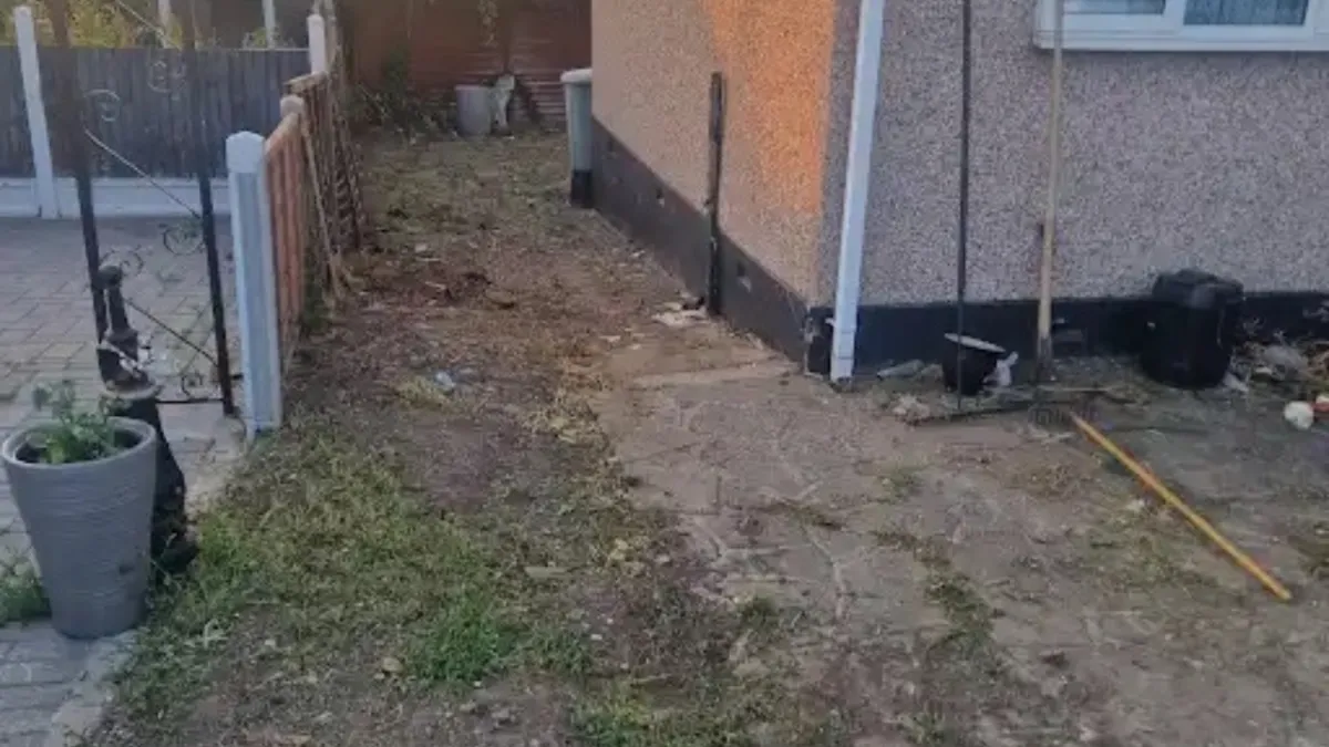 Overgrown Garden Clearance in Southend
