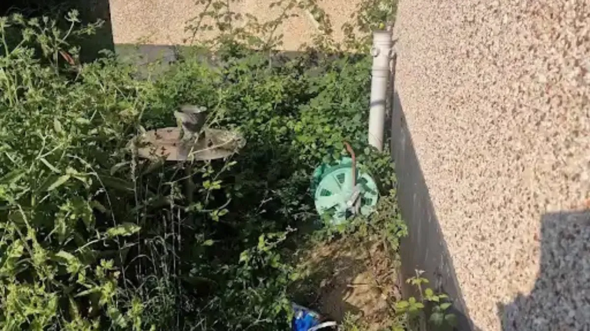 Overgrown Garden Clearance in Essex