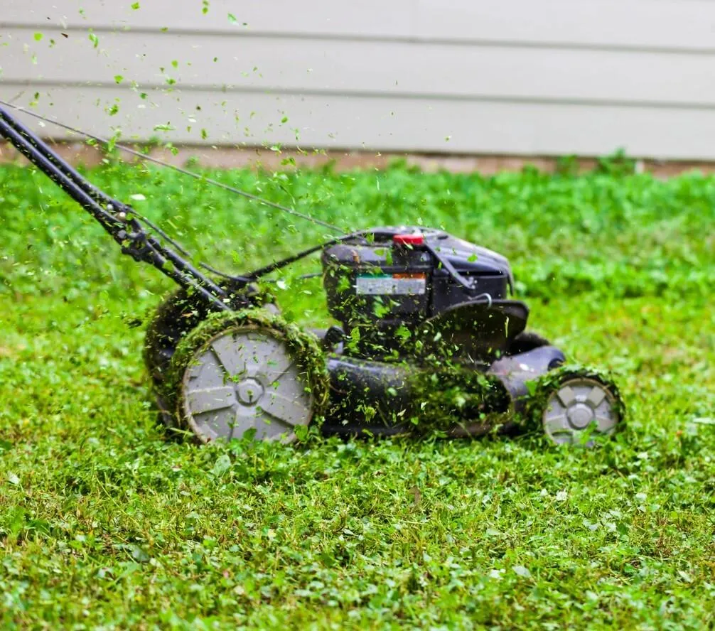 lawn trimming