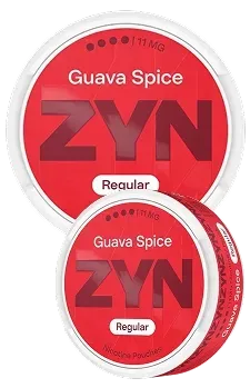 Nicotine Pouches | Zazoo Smoke Shop