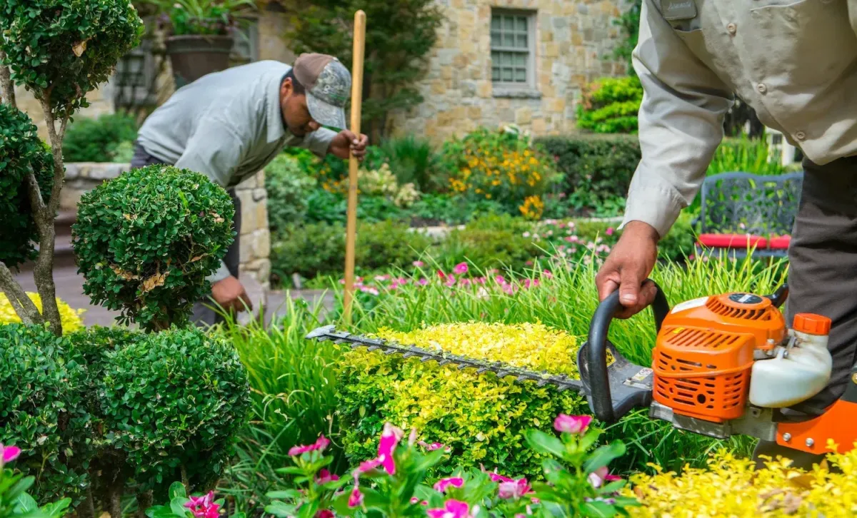 Landscaping