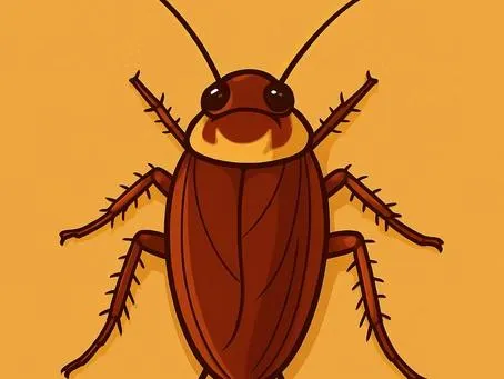 Bed Bugs | Desert Shield Pest Control - Tucson, AZ