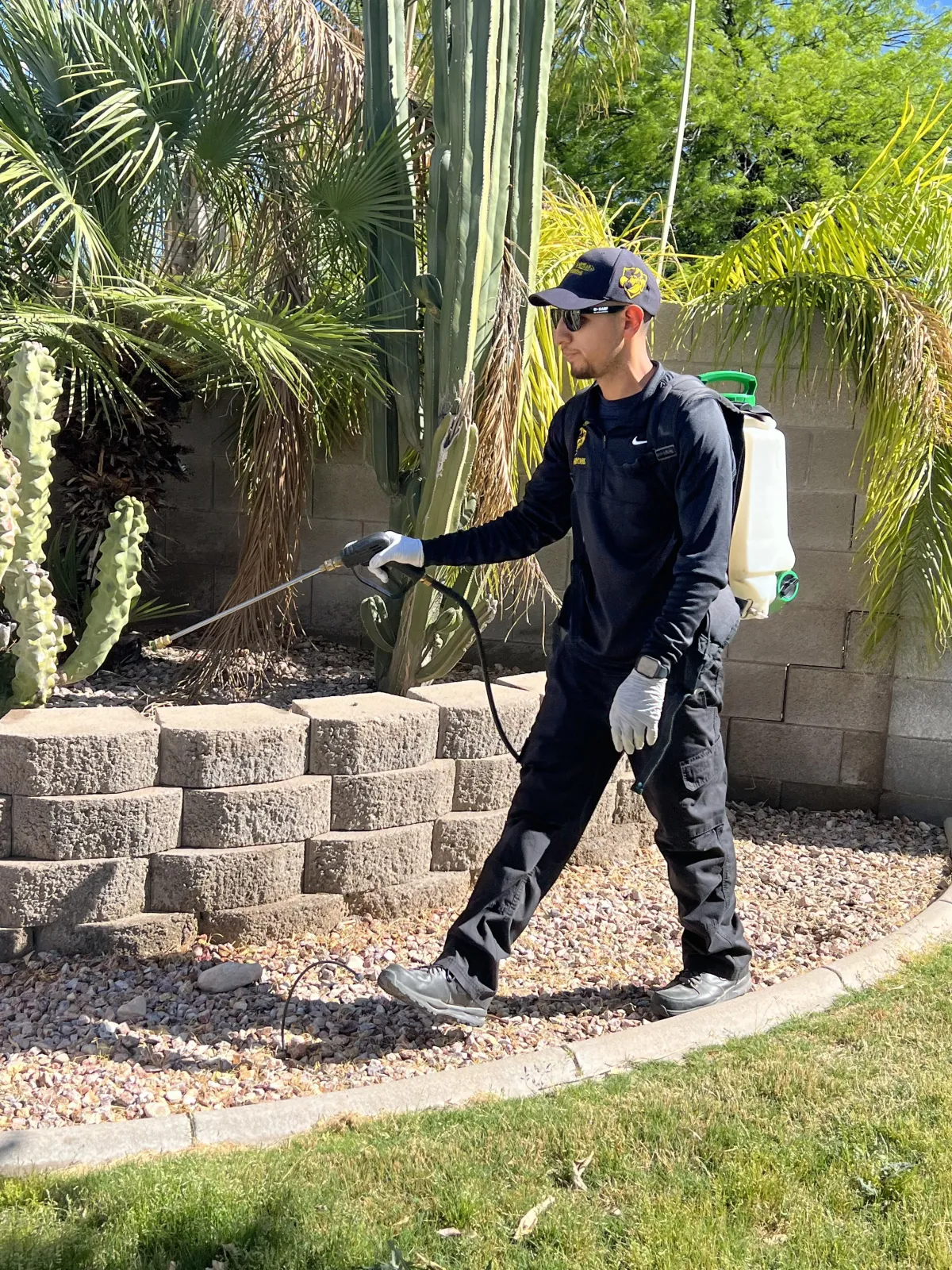 Our Approach | Desert Shield Pest Control - Tucson, AZ