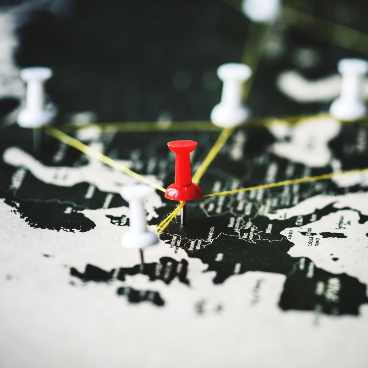 Serving Tucson and Growing | Desert Shield Pest Control - Tucson, AZ