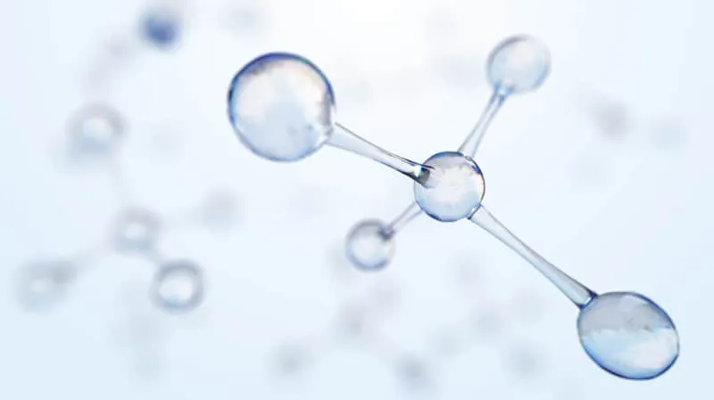 Collagen is crucial for mobile joints