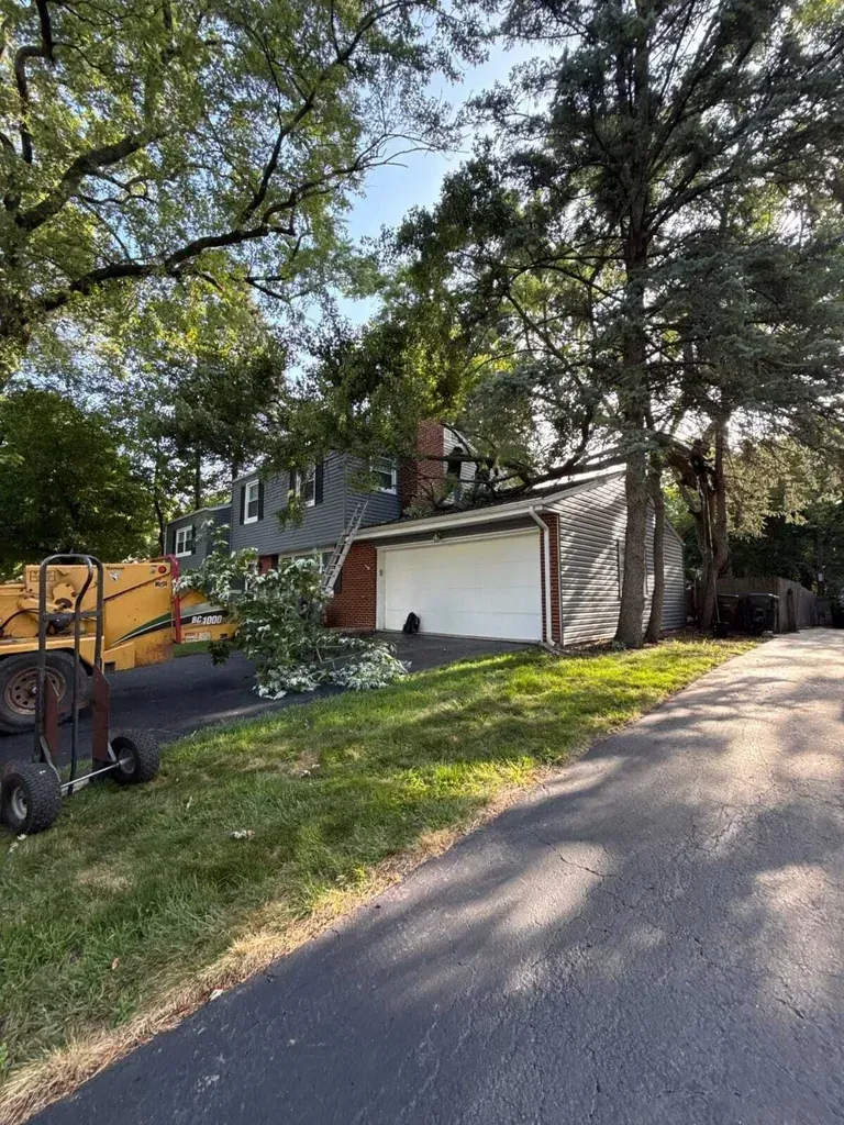 Andrew´s Public Adjusters Inc