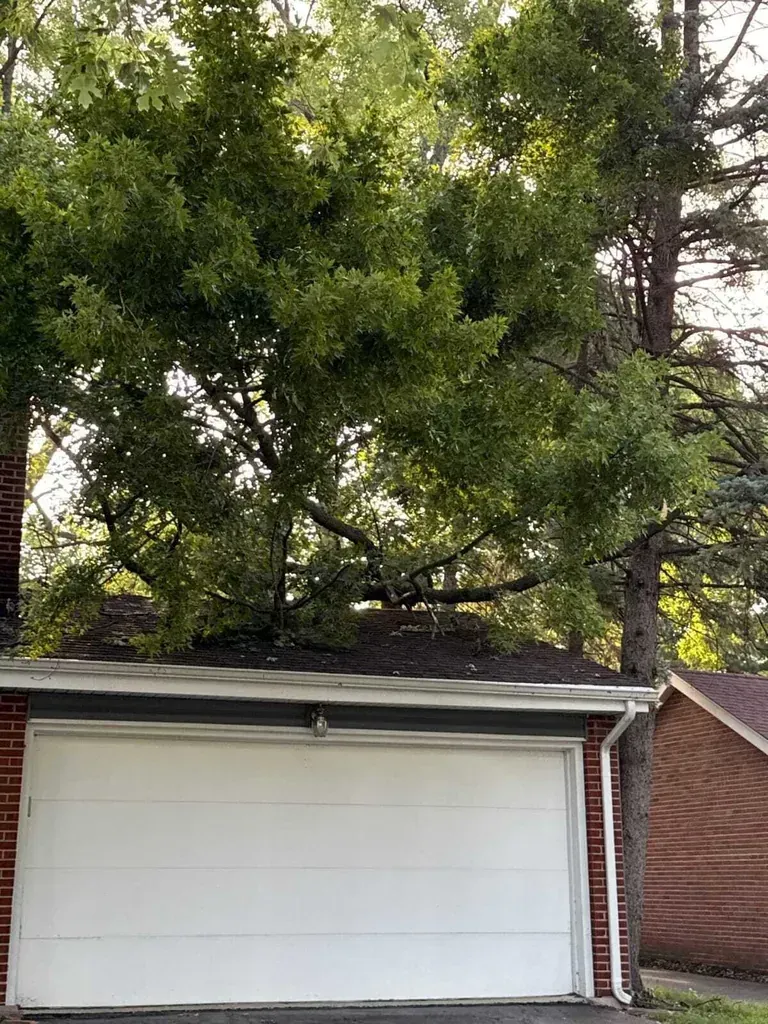 Andrew´s Public Adjusters Inc