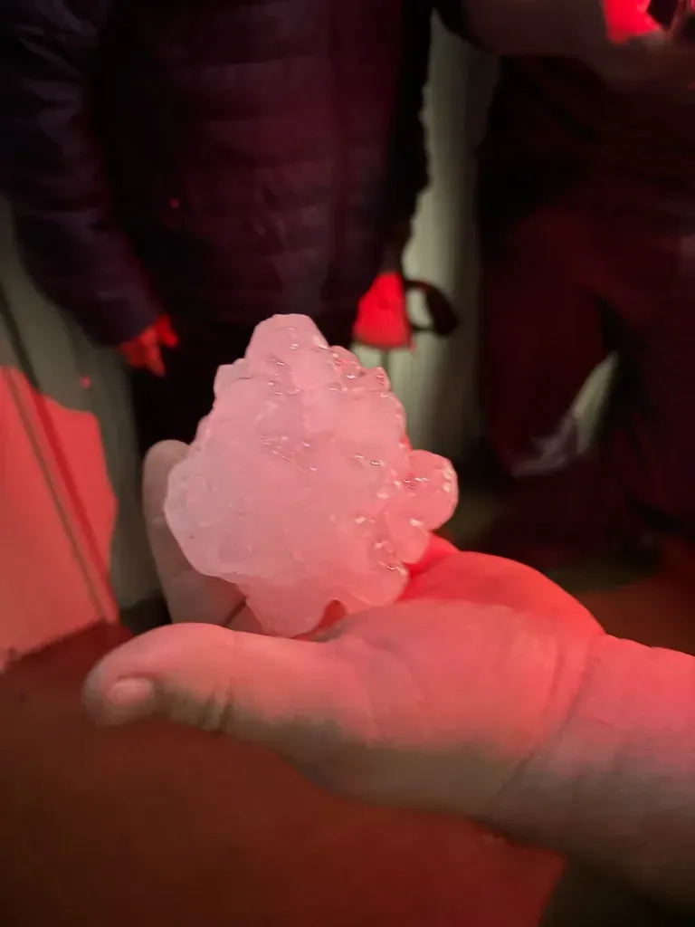 Andrew´s Public Adjusters Inc