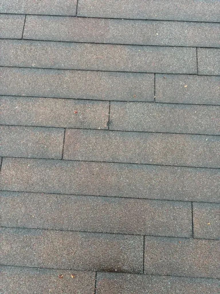 Andrew´s Public Adjusters Inc