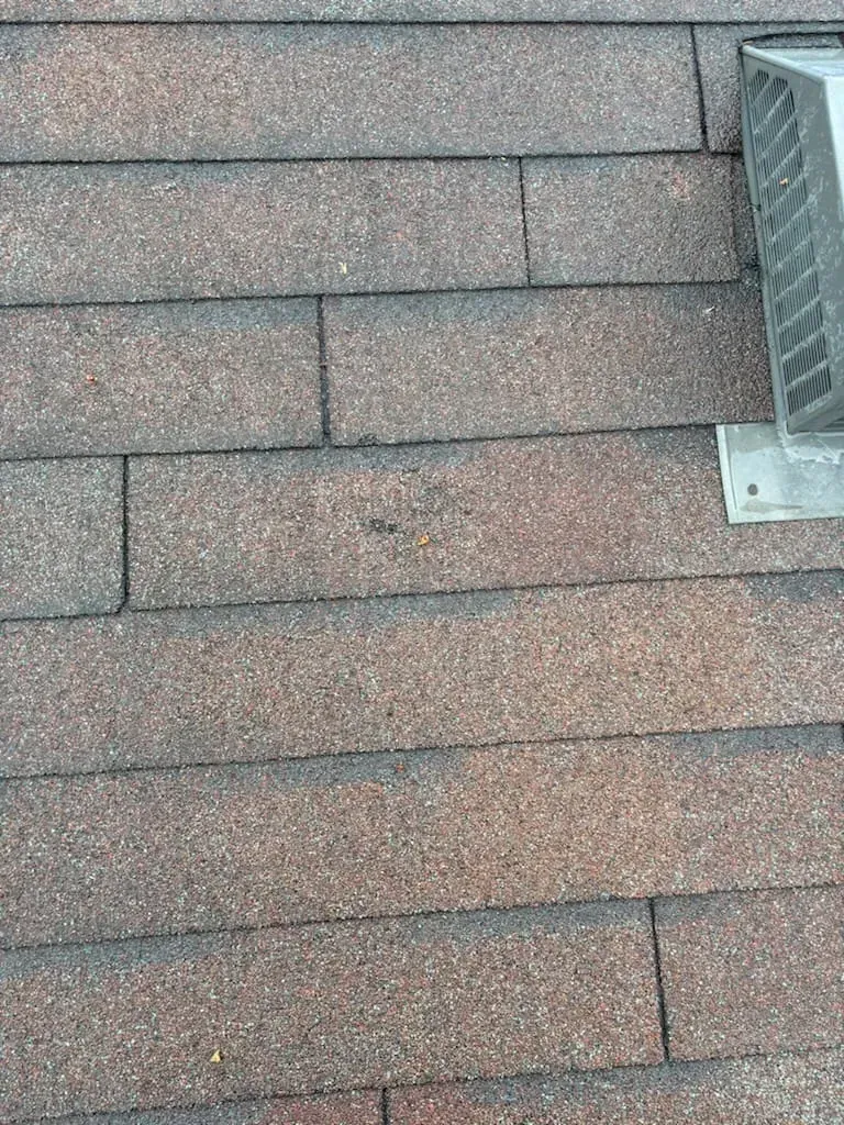 Andrew´s Public Adjusters Inc