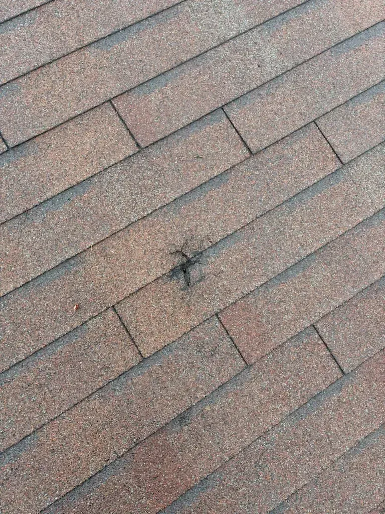 Andrew´s Public Adjusters Inc