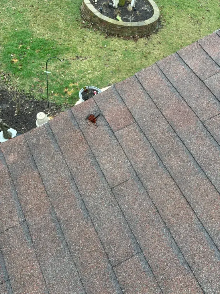 Andrew´s Public Adjusters Inc