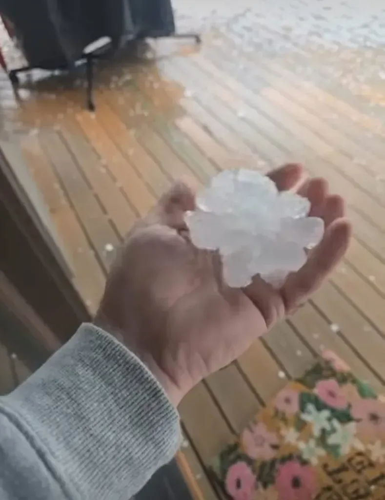 Andrew´s Public Adjusters Inc