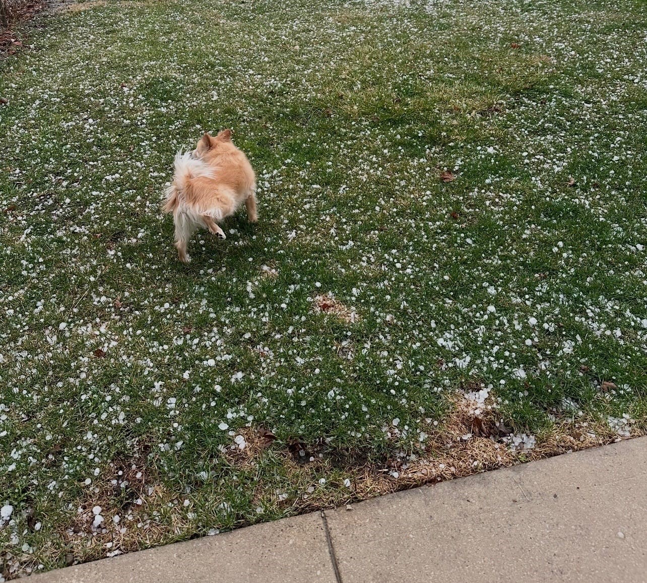 Andrew´s Public Adjusters Inc