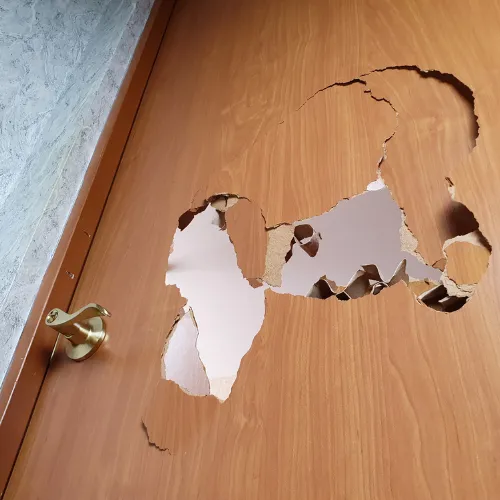 Public adjuster helping a client with theft claim support and policy review