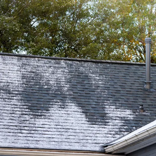 Public adjuster inspecting storm and hail damage at a property in Wheaton, IL