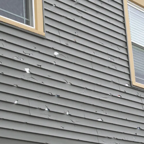 Hail damage on home siding documented for an insurance claim in Downers Grove, IL