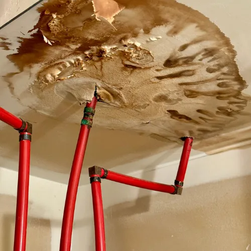 Home inspection after water damage claim in Downers Grove, IL