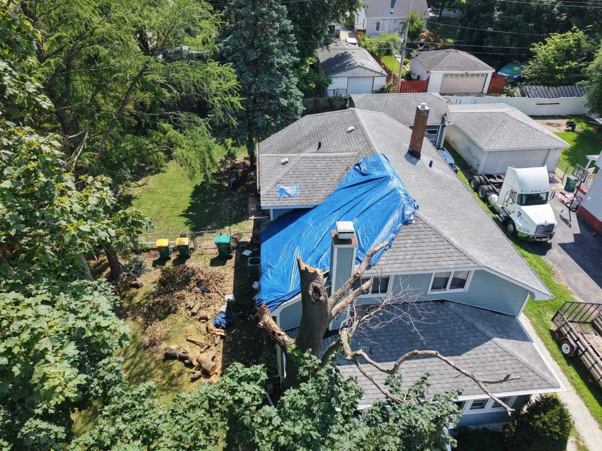 Andrew´s Public Adjusters Inc