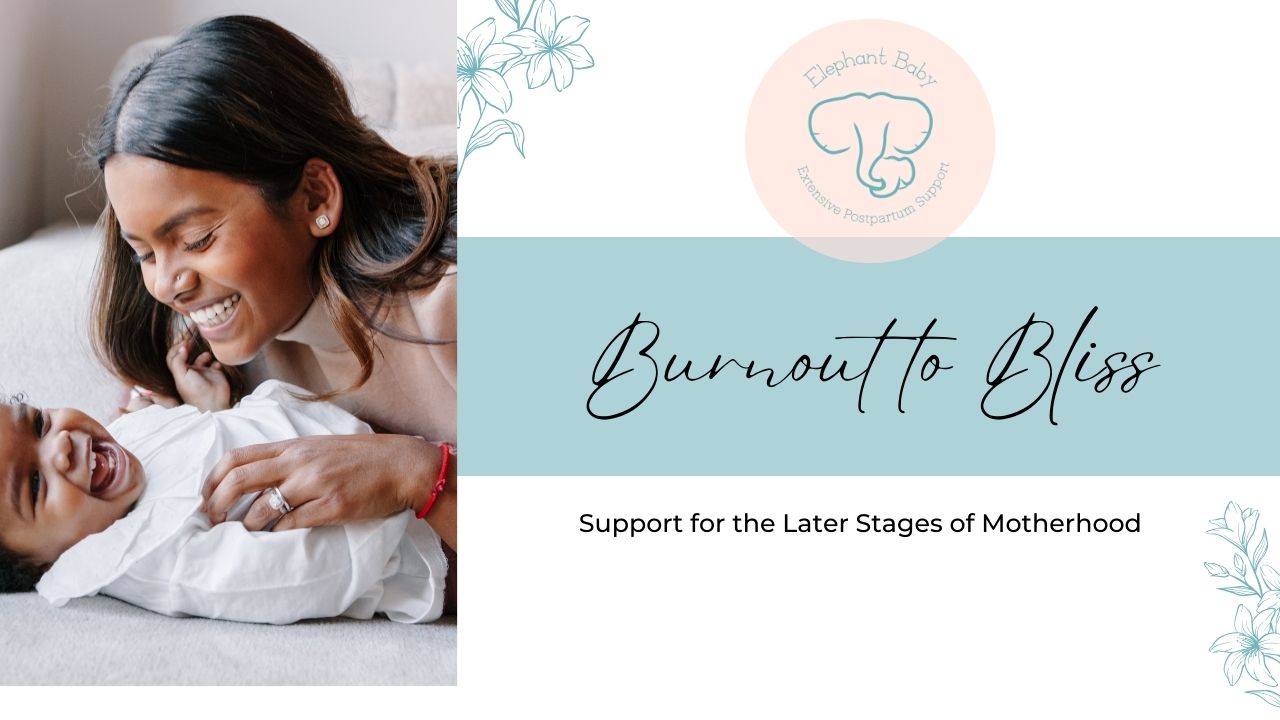 Mom with toddler who receives motherhood support from Elephant Baby serving St Louis MO and Metro East IL