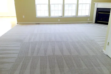 Carpet Cleaning Company Near Me