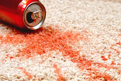 Carpet Cleaning Company Near Me