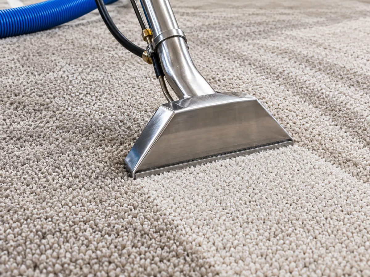 Professional Carpet Cleaning Process | Maximum Cleaning