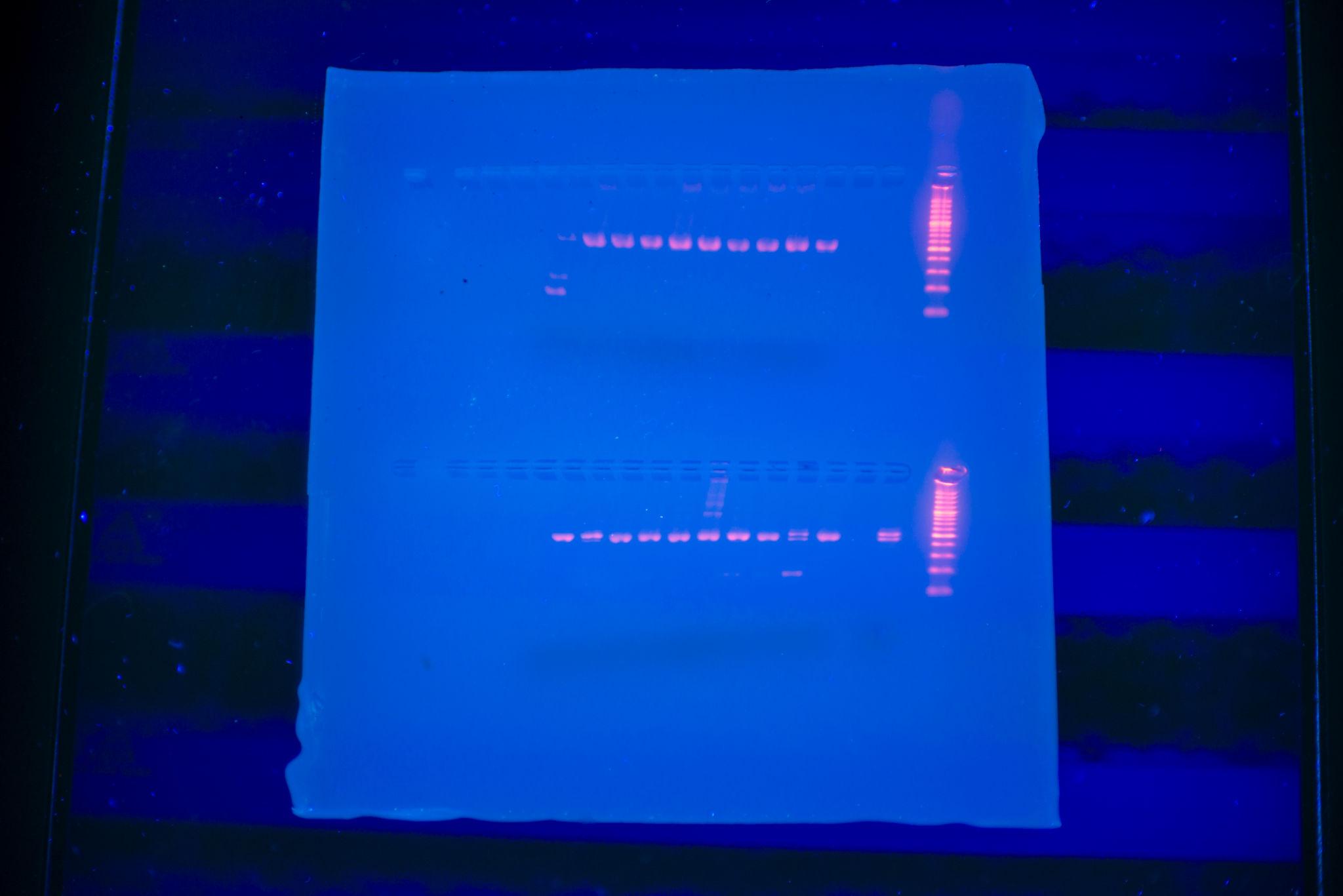 a black and white photo of a diamond