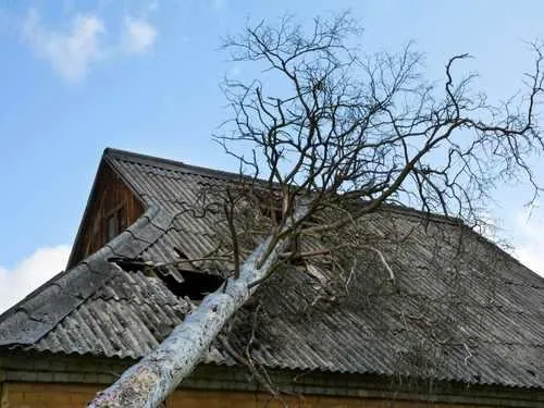 Clemmons Emergency Roof Repair