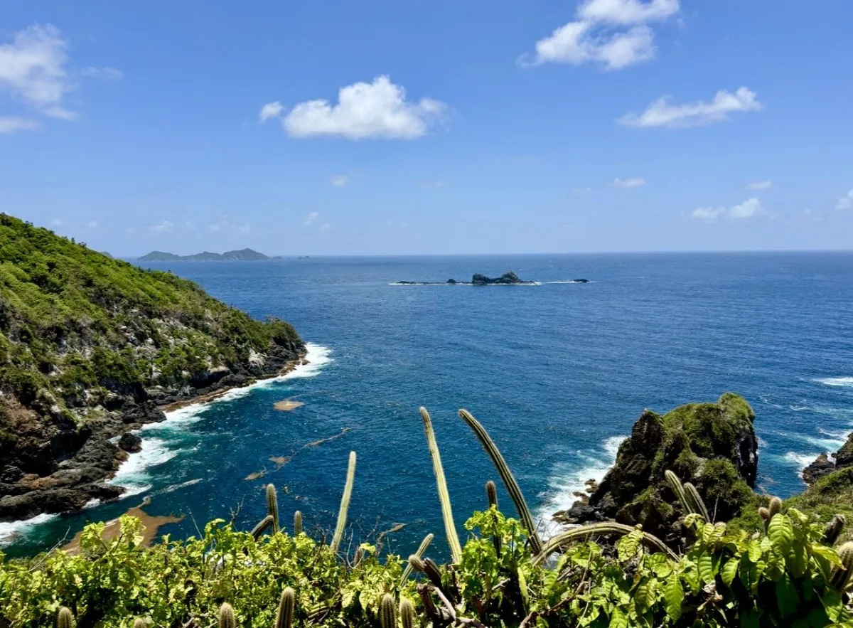 aerial view photography of island