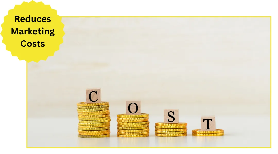 Automated Email Automation Features