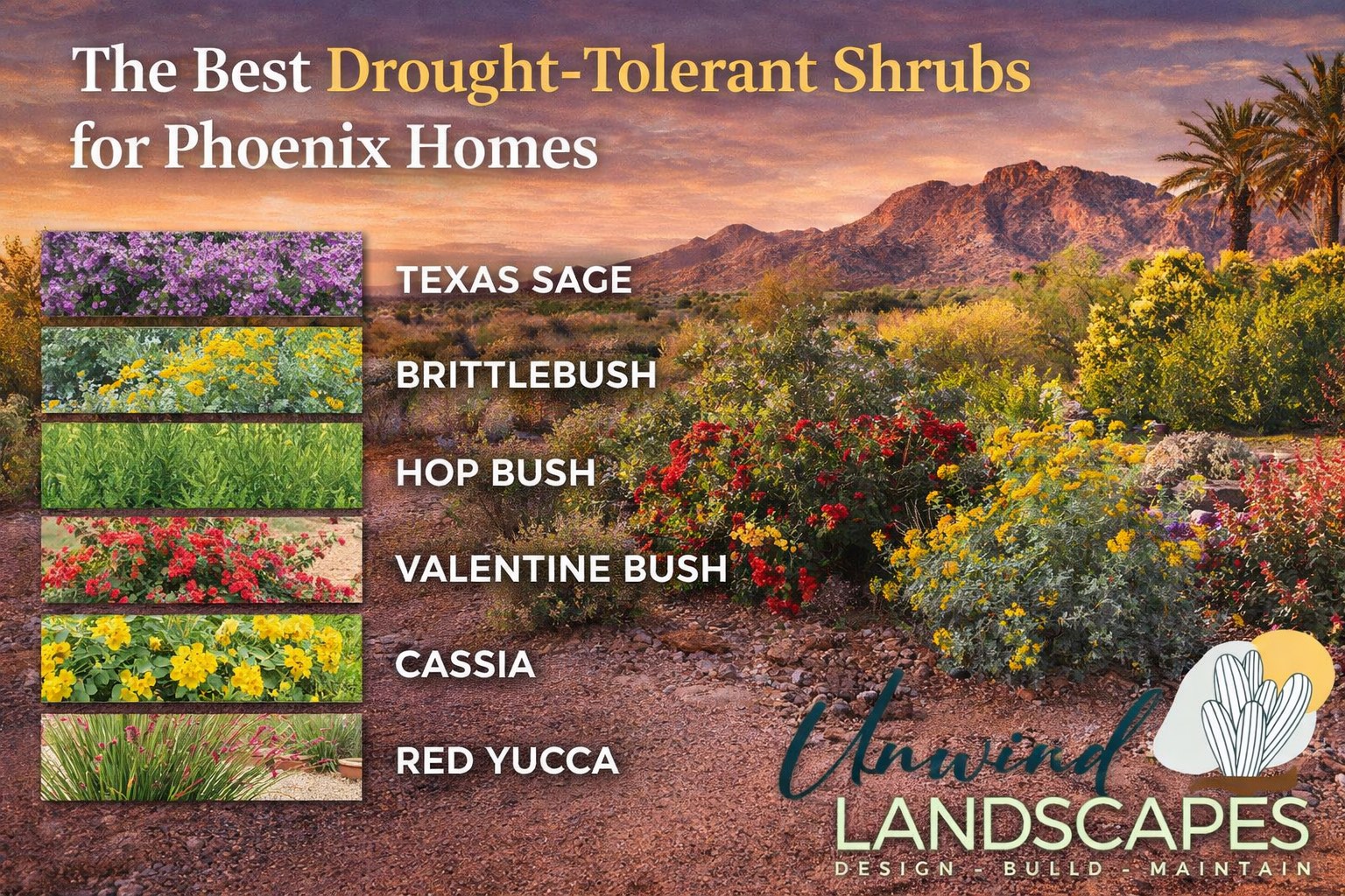 The Best Drought-Tolerant Shrubs for Phoenix Homes